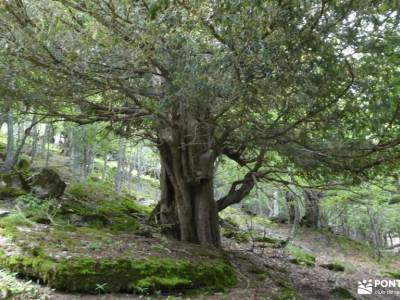 Montaña Palentina.Fuentes Carrionas; grupos senderismo madrid gente joven rutas para andar por madri